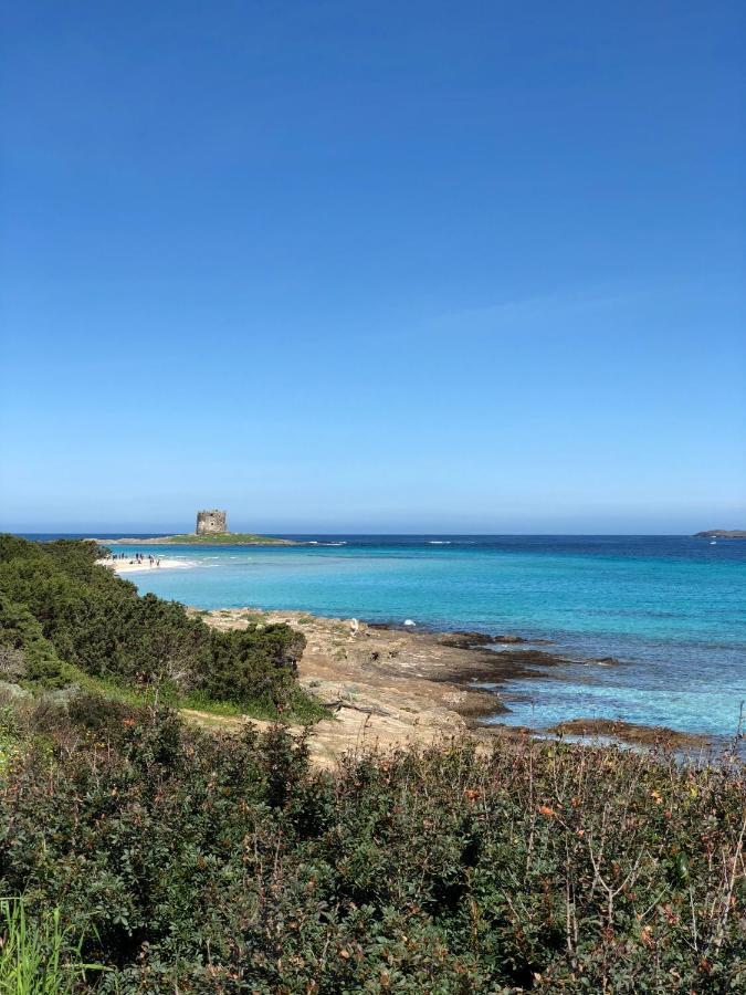 B&B Mare Di Fuori Stintino Εξωτερικό φωτογραφία